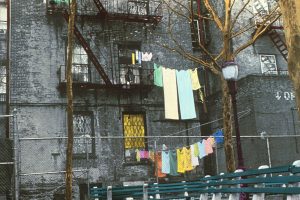 New York Wash - Jane Krensky Photography