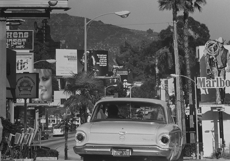 Sunset Blvd - Jane Krensky Photography