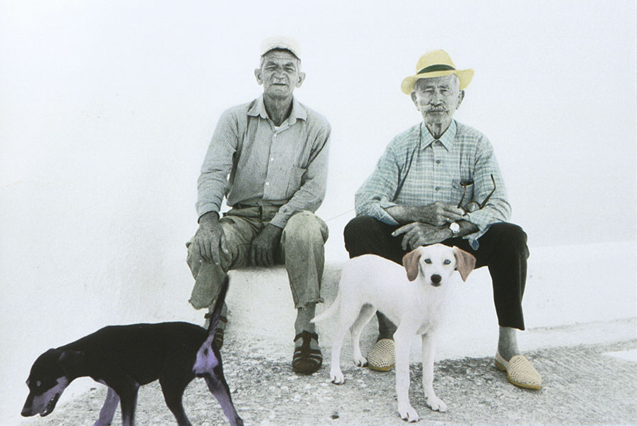 Four Wild and Crazy Guys - Jane Krensky Photography
