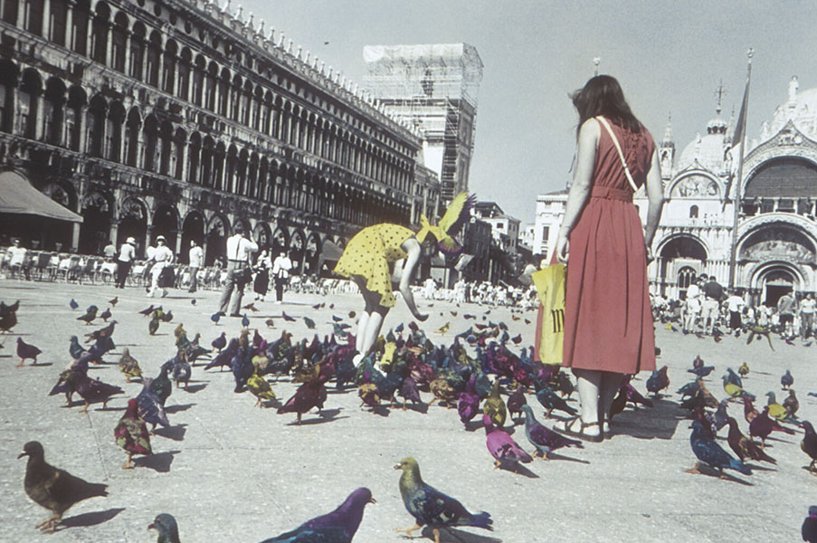Where Are You, Tippi Hedren? - Jane Krensky Photography