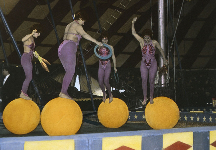 Women With BallsSwimsuit Competition Green - Jane Krensky Photographer